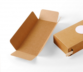 Caja de cartón para sushi con guarda-palillos
